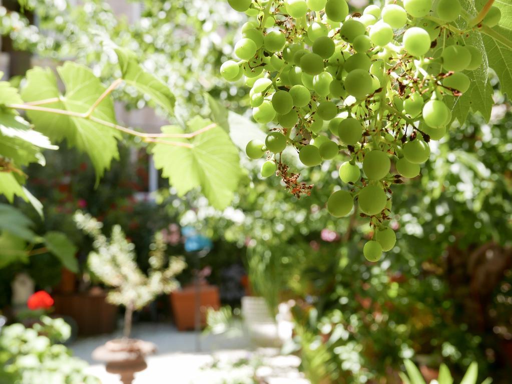 Hotel Vieux Port Panier Jardin Marsella Exterior foto